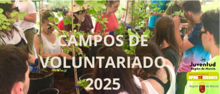 La Comunidad Autónoma promueve la participación en campos de voluntariado juvenil durante el verano