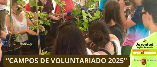 CAMPOS DE VOLUNTARIO 2025 (R)